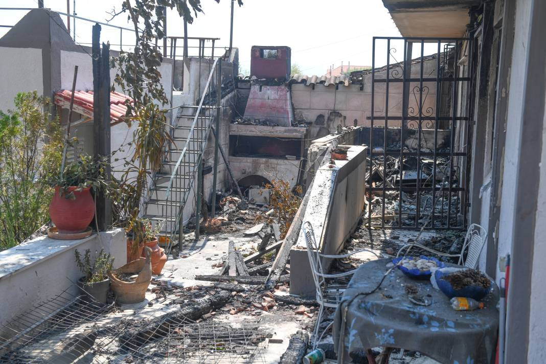 Meriç Bölgesi'nde yanan ormanlık alanda ceset bulundu - Resim: 9